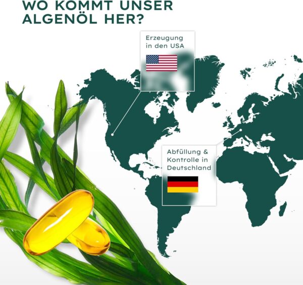 Veganes Omega 3 aus Algenöl | 120 hochdosierte Kapseln für 4 Monate | Eine Kapsel täglich zur Unterstützung der normalen Hirn, Augen & Herzfunktion | laborgeprüft auf Reinheit – Bild 4