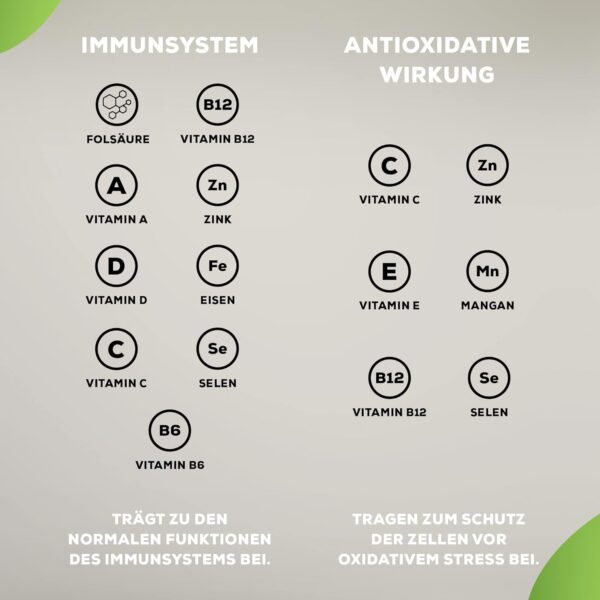 BioTechUSA One-A-Day Multivitamin | 12 Vitamine | 10 Mineralstoffe | Energie, Immunsystem und Knochengesundheit, 100 Tabletten – Bild 5