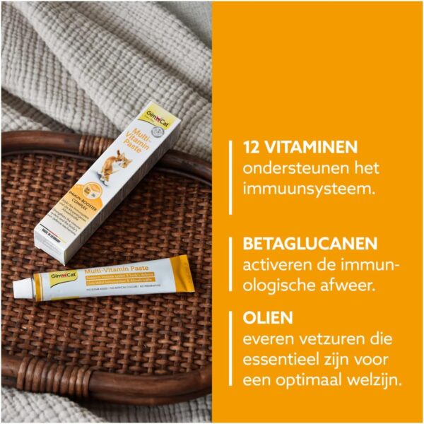 GimCat Multi-Vitamin Paste - Gesunder Katzensnack aktiviert Abwehrkräfte und stärkt das Immunsystem - 1 Tube (1 x 200 g) (Packung mit 2) – Bild 2