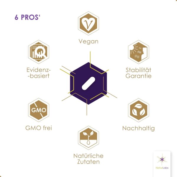 NaturLabs® Liposomales Multivitamin · 95% Aufnahmefähigkeit · natürlich & vegan · patentierte LipoCellTech™ Technologie · 30 Kapseln Hochdosiert Multi vitamine & Mineralstoffe Komplex · GMO-frei – Bild 3