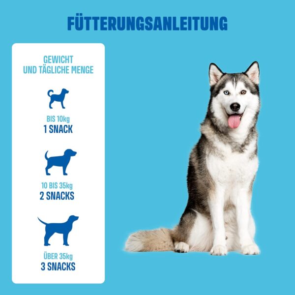 ivvi Multivitamin für Hunde als Leckerli – Rundumversorgung mit Probiotika, B Vitamine, Omega 3, Grünlippmuschel, Cranberry - 60 Snacks (270g) mit Huhn – Bild 6
