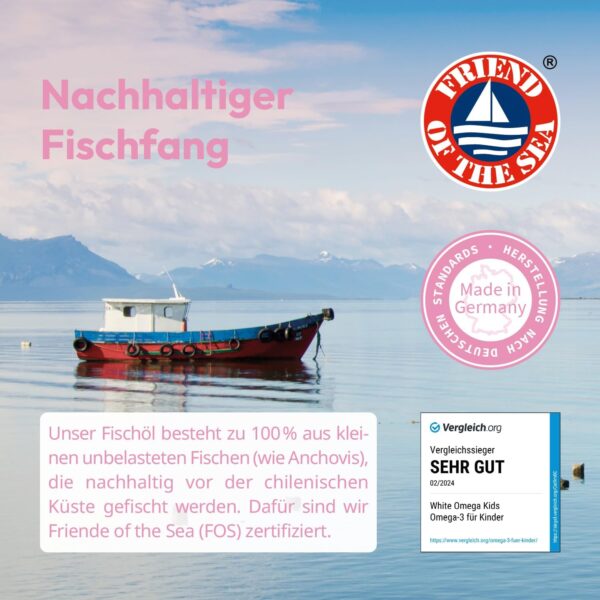 Premium Omega-3 Kapseln – für Mama & Baby – 293 mg DHA und 173 mg EPA – vor, während & nach der Schwangerschaft – sicheres & frisches Omega-3 – einfache Einnahme – 90 Mini-Kapseln – Bild 6