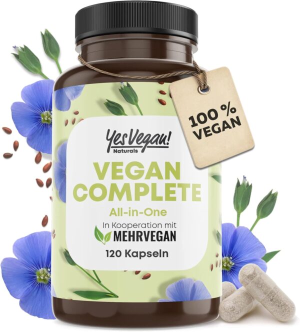 Vegan Multivitamin & Mineralien mit 14 Vitaminen u.a. B12, Jod, Eisen, Cholin (120 Kapseln hochdosiert) für Veganer & Vegetarier - Vegan Supplements - Vegetarier Vitamine - Multivitamin vegan