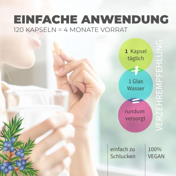 natural aid Multivitamin Kapseln [100% vegan] 120 Stück A-Z Vitamine Immunsystem stärken laborgeprüft o. Zusätze in DE hergestellt Multi Vitamin Komplex vegan – Bild 5