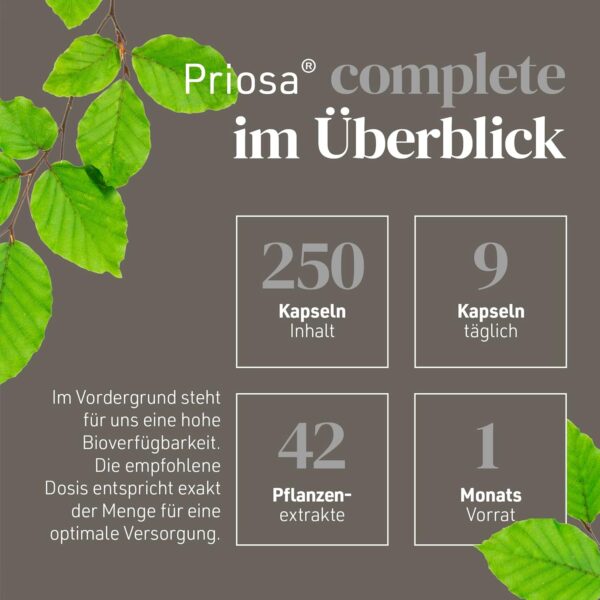 SANOPOLY Priosa® complete 250 Multivitamin Kapseln I Unterstützt Energiestoffwechsel, Immunsystem und geistige Leistung I 42 Pflanzenextrakten, 16 Aminosäuren, 13 Mineralien & 13 Vitaminen | vegan – Bild 3