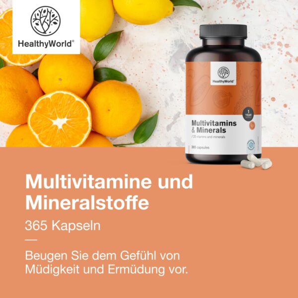 HealthyWorld Multivitamine & Mineralstoffe - 25 Vitamine & Mineralstoffe - 365 Kapseln - Jahresvorrat - Pflanzenkapseln - Immunsystem - mehr Energie- wertvolle Vitamine A-Z - Für Männer & Frauen – Bild 6