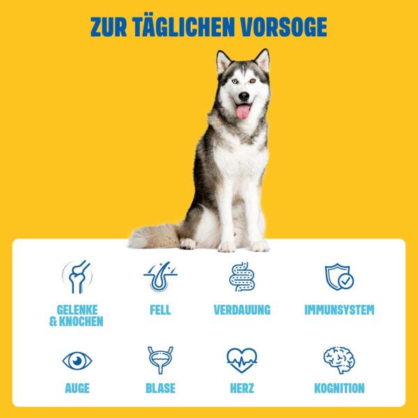 ivvi Multivitamin für Hunde als Leckerli – Rundumversorgung mit Probiotika, B Vitamine, Omega 3, Grünlippmuschel, Cranberry - 60 Snacks (270g) mit Huhn – Bild 3