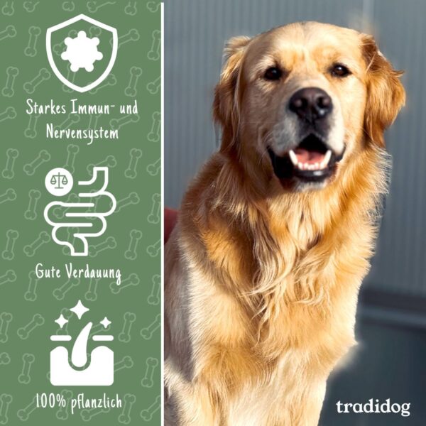 TRADIDOG Classic Nahrungsergänzungen & Vitamine für Hund mit Vitalstoffen - Gesundheitsprodukte für Hunde inkl. Omega-3 Öl Hund - pflanzliches Nahrungsergänzungsmittel Hund für alle Hunde – Bild 3