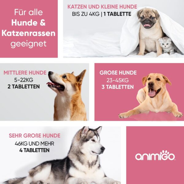 animigo Vitamine für Hunde & Katzen - 365 Multivitamin Tabletten - Mit Vitamin B Komplex (B1, B2, B3, B5, B6, Biotin, B9, B12), C & D3-18 Mineralien & Vitamine - Für Gelenke, Immunsystem, Knochen – Bild 8