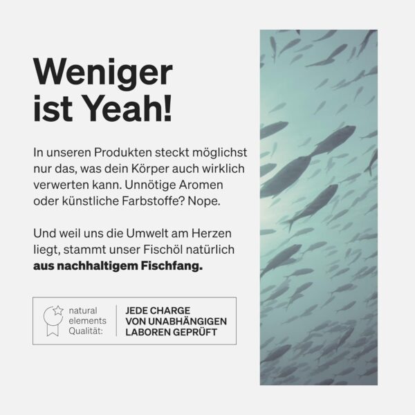 Omega 3 – 365 Kapseln – 2000mg Fischöl pro Tagesdosis – mit EPA und DHA in Triglycerid-Form – Laborgeprüft, aufwendig aufgereinigt und aus nachhaltigem Fischfang – Bild 4
