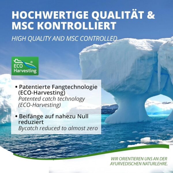 Superba Premium Krillöl Softgel Caps - mit revolutionärem Omega 3 Öl - verestertem Astaxanthin, Antioxidantien & Vitaminen - Herz Immunsystem Gedächtnis - 180 Kapseln von MoriVeda – Bild 4