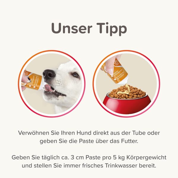 beaphar - Multi VIT Paste - Für Hunde - Mit Biotin, L-Carnitin - Für Strapazierfähige Haut Und Schönes Fell - 0% Zucker-Zusatz - Täglicher Vitamingenuss - Unterstützt Das Wohlbefinden - 100 g – Bild 5