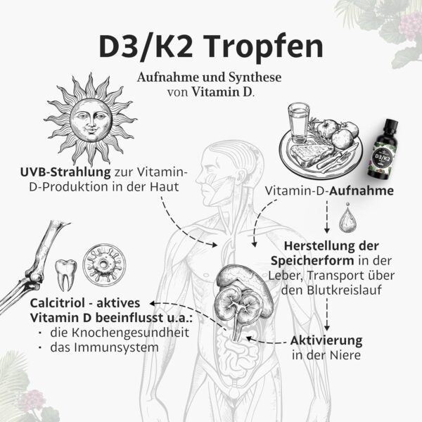 Vitamin D3/K2 Tropfen (50 ml) - 1000IE Vitamin D3 pro Tropfen - Spitzenrohstoff K2VITAL® mit 99,7% All-Trans-MK-7 - laborgeprüft, hochdosiert, ohne Zusätze, in Deutschland produziert – Bild 2