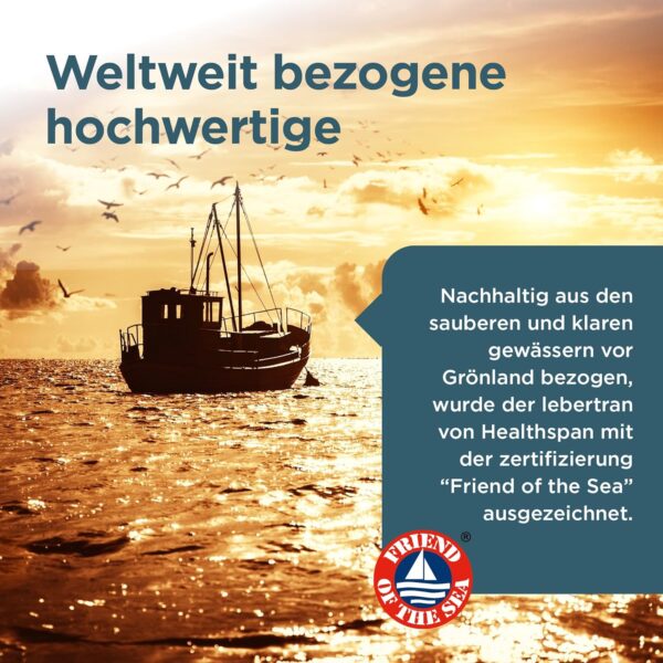 Healthspan Lebertran 1.000 mg | Reich an Omega-3-Fettsäuren DHA & EPA | Vitamin A und D3 | Gehirnfunktion, Augen- und Herzgesundheit | Aus nachhaltigen Quellen (240 Kapsel) – Bild 6