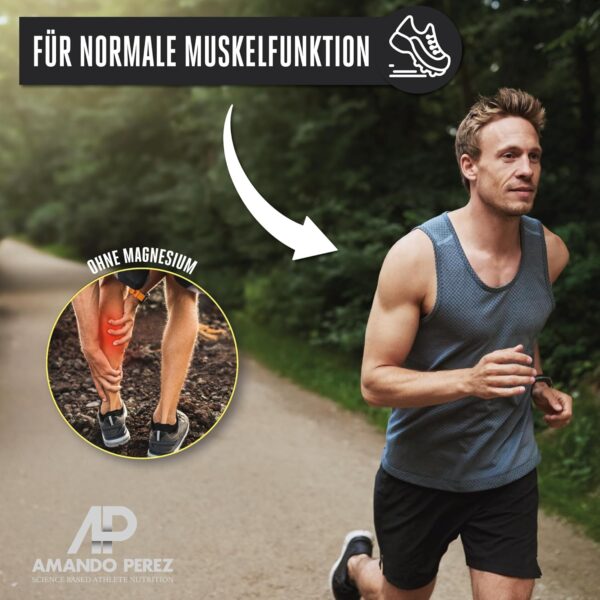 Amando Perez Magnesium Malat Tabletten 3000mg Hochdosiert - 180 Stück Magnesiummalat Vegan & Laborgeprüft (450mg Magnesium) Kapseln für Sport - Trägt zu einer normalen Muskelfunktion bei – Bild 2