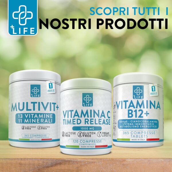 +LIFE - Multivitamin Tabletten Hochdosiert, Multivitamin mineral komplex, Piulife® 365 Tabletten mit 24 Vitaminen und Mineralien, Multivitamin-Ergänzung Frauen Männer Kinder, Erwachsene Immunabwehr – Bild 6