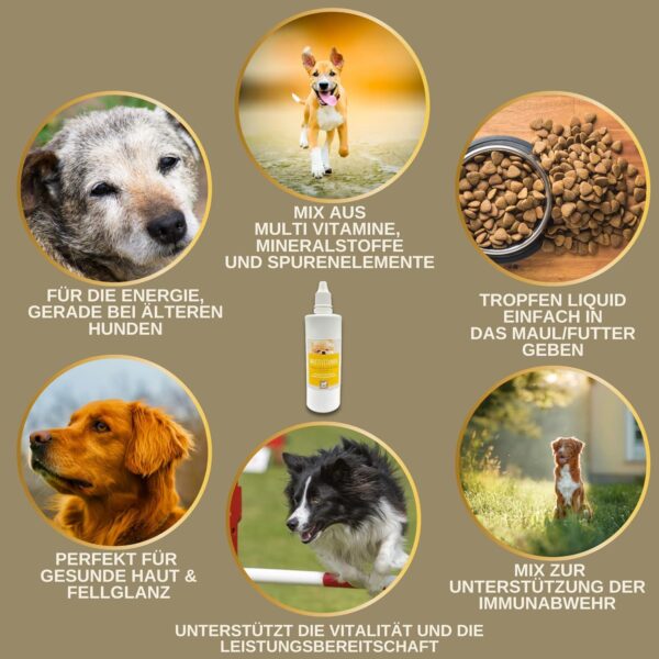 Multi Vitamin B Komplex Hund I Vitamine für Hunde 100ml I Vitamin B hochdosiert für Hunde mit B Vitamine Vitamin A B12 C E I Vitalität für Senioren Welpen Vitamin-Booster Immunsystem stärken Hund – Bild 2