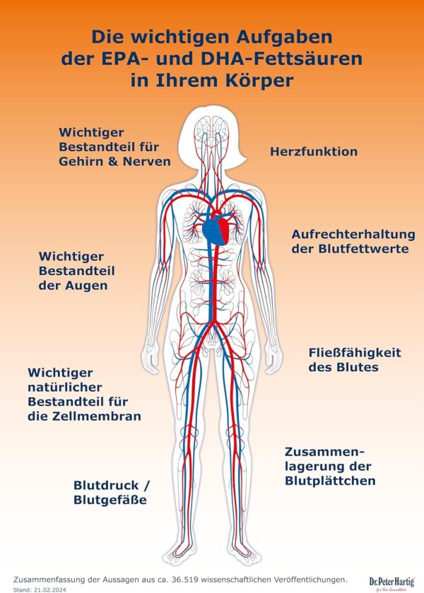 Dr. Peter Hartig Omega 3 Lachsöl 250 Kapseln 4-Monats-Vorrat EPA DHA Vitamin E Lactose-, Gluten-, Hefefrei – Bild 5