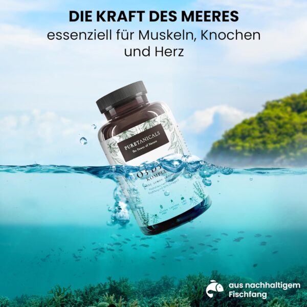 Omega 3 + Vitamin D3, K2 MK7 All-Trans mikroverkapselt - Premium Essentials O3-D3-K2 hochdosiert - Fischöl mit essentiellen EPA & DHA Fettsäuren | Fisch Öl Omega3 Fish Oil Tropfen | 240 Kapseln – Bild 3
