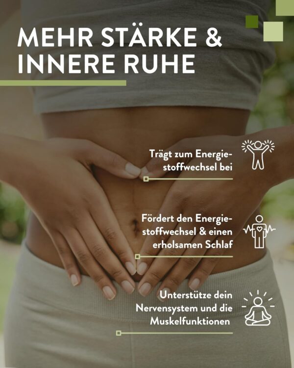PlusVive Magnesiumcitrat Kapseln hochdosiert I 1x 180 Kapseln I 700mg Trimagnesiumdicitrat & 120mg reines Magnesium pro Kapsel I mit Papain & Spirulina I Nahrungsergänzungsmittel vegan & laborgeprüft – Bild 3
