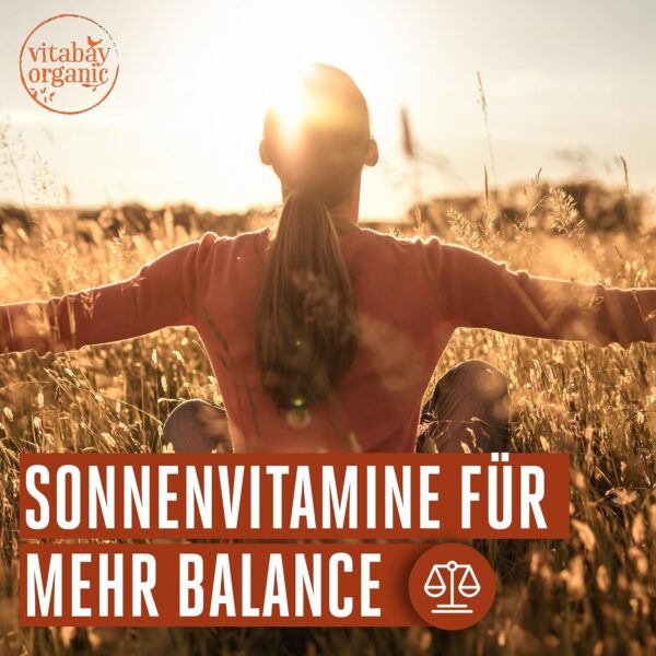 Vitabay Vitamin D3 Tropfen 50 ml - 1.500 Vegane Tropfen mit 1.000 ie - Vitamin D3 1000 - Vitamin D3 Hochdosiert Vitamin D Öl - Vit D3 Tropfen Hochdosiert - Vitamin D Öl Hochdosiert Vitamin D3 Vegan – Bild 2