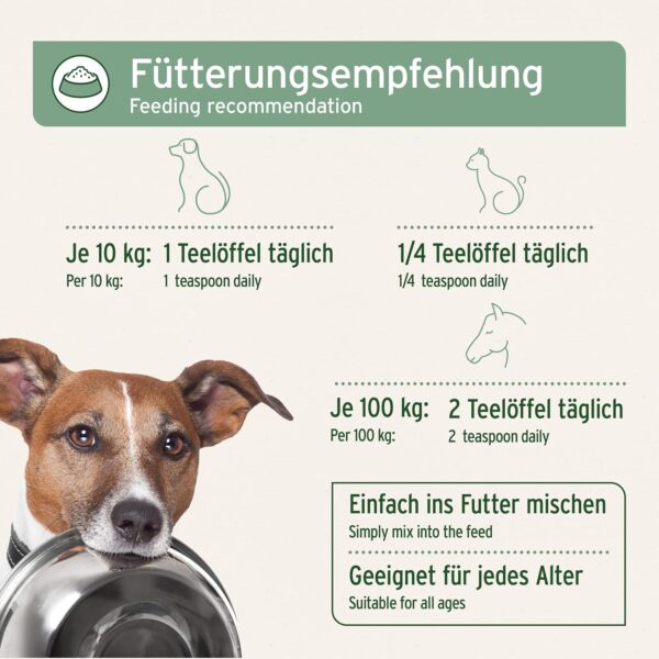 VERGLEICHSSIEGER SEHR GUT 2023 AniForte Lachsöl Hunde 1 Liter – Reich an Omega 3 & 6, Fischöl Hund hochdosiert, echte Lebensmittelqualität ohne Zusätze, frisch abgefüllt in Deutschland – Bild 6