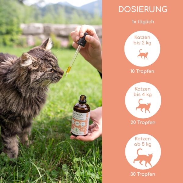 Lachsöl für Katzen mit Omega 3 & 6 I 100ml norwegisches, natürliches Lachs-Öl aus Atlantik-Meer-Lachs I Hochdosiertes Ergänzungsmittel für Katzen – Bild 4
