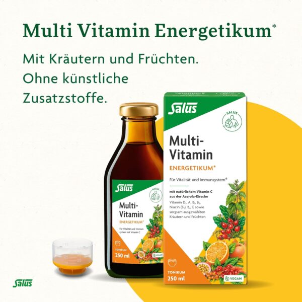 Salus Multi-Vitamin Energetikum (a) - 1x 500 ml - Tonikum mit 8 wichtigen Vitaminen - Vitamin A, B1, B2, Niacin (B3), B6, D3 und E - vegan - bio – Bild 3