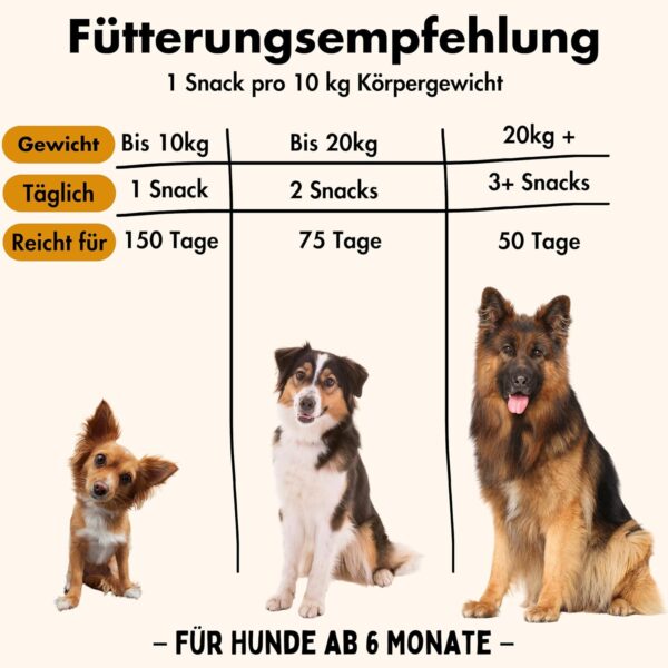 KUINEA® All-in-One Vitamine für Hunde als Leckerli I ca. 5-MONATS-VORRAT I Unterstützend bei: Verdauung, Knochen & Gelenke, Immunsystem, Fellgesundheit, Nahrungsergänzungsmittel Hund 150 Snacks (400g) – Bild 3
