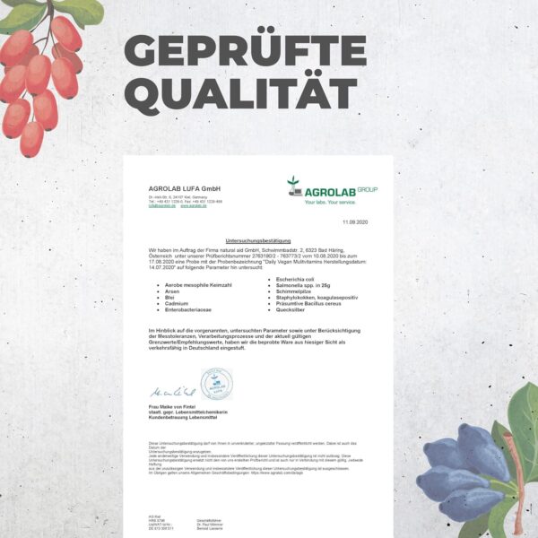 natural aid Multivitamin Kapseln [100% vegan] 120 Stück A-Z Vitamine Immunsystem stärken laborgeprüft o. Zusätze in DE hergestellt Multi Vitamin Komplex vegan – Bild 9