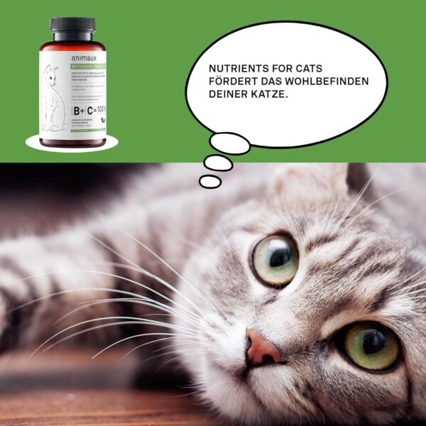 animaux Nutrients for Cats – 120 Kautabletten – Vitamine für Katzen, Unterstützung für Stoffwechsel, Immunsystem, Haut & Fell, mit Vitamin B Komplex, Omega 3, Zink & mehr – Bild 5