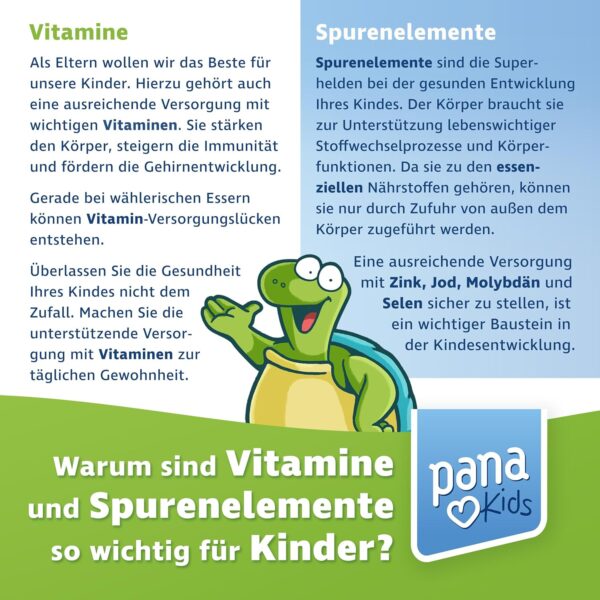 PanaKids MultiComplete+ Multivitamin-Tropfen für Kinder - 12 Vitamine & 4 essenzielle Mineralstoffe + Inositol - Ab 4 Jahren - Honig & Fruchtgeschmack - 100% Vegetarisch - 30 ml – Bild 2