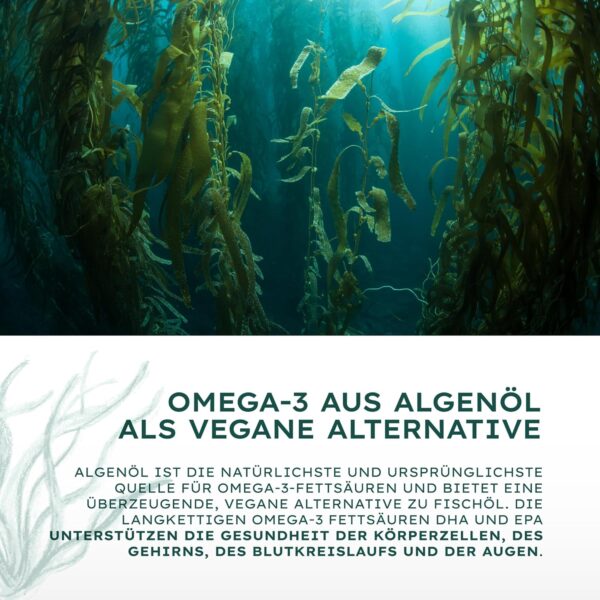 Veganes Omega 3 aus Algenöl | 120 hochdosierte Kapseln für 4 Monate | Eine Kapsel täglich zur Unterstützung der normalen Hirn, Augen & Herzfunktion | laborgeprüft auf Reinheit – Bild 5