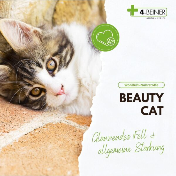 4-BEINER Beauty-CAT, Multi-Vitamine & Mineralien für Katzen für glänzendes Fell, Vitalität & Wohlbefinden mit Omega 3, MSM, Vitamin B & C, Zink etc. – Bild 3