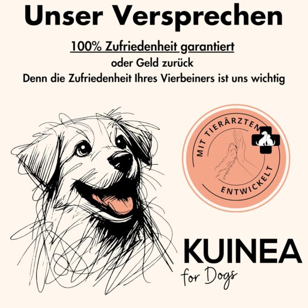 KUINEA® All-in-One Vitamine für Hunde als Leckerli I ca. 5-MONATS-VORRAT I Unterstützend bei: Verdauung, Knochen & Gelenke, Immunsystem, Fellgesundheit, Nahrungsergänzungsmittel Hund 150 Snacks (400g) – Bild 6
