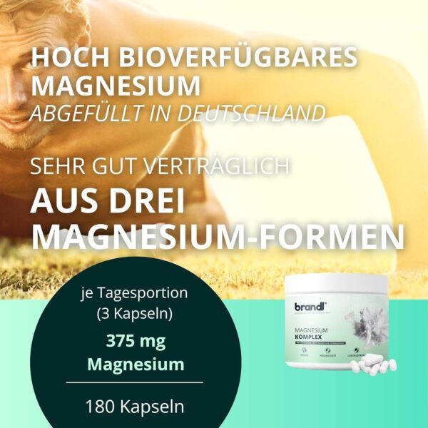 Magnesium Tabletten | Magnesium-Komplex aus Magnesiumcitrat, Magnesium Malat & Magnesium Bisglycinat von brandl® optimiert für Sportler | 180 Premium Magnesium Kapseln – Bild 2