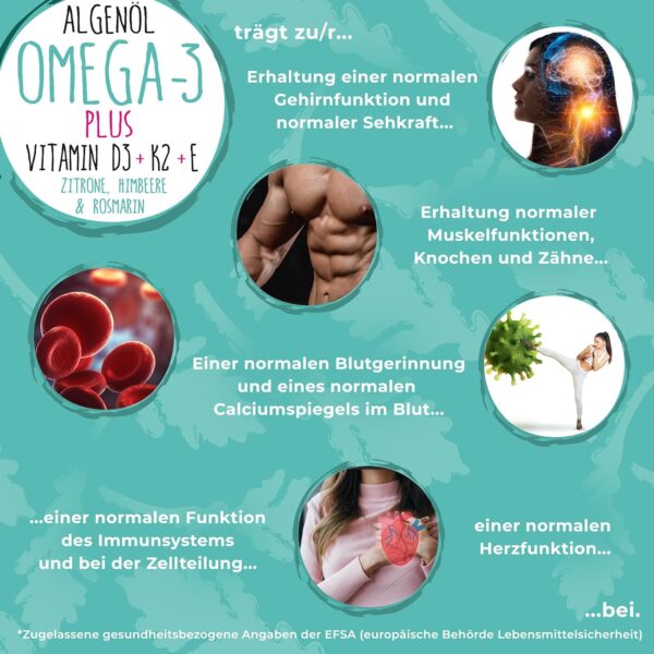 Omega-3 Algenöl PLUS - 40% DHA und 20% EPA mit Vitamin D3 + K2 + E - Zitrone und Rosmarinextrakt - Vegan (20ml = 4 Monats-Vorrat) – Bild 3