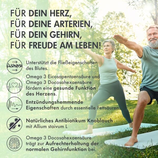 WellLife Knoblauch Fischöl Kapseln hochdosiert Vitamin E Omega 3 EPA & DHA Triglycerid Form Unterstützung Herz Kreislauf Blutdruck-Management 60 Tabletten – Bild 4