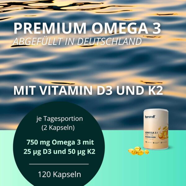 Vitamin D3 K2 Omega 3 Premium Kapseln | brandl® Made in Germany mit Fischöl Omega 3 aus der EU | Optimiert für Sportler | 120 Kapseln – Bild 2