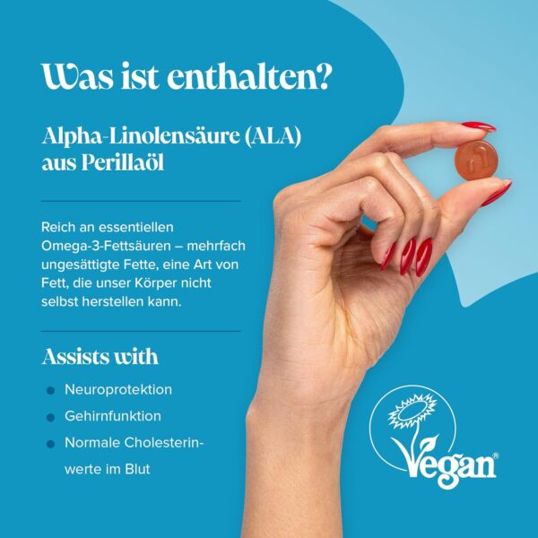 Vegane Omega 3 6 9 Gummibärchen – 1 Monatsvorrat – Unterstützt die Gesundheit von Herz Gehirn und Augen – Omega 3 Vegan zum Kauen – Nachhaltige Pflanzliche Alternative zu Fischöl – Von Novomins – Bild 4
