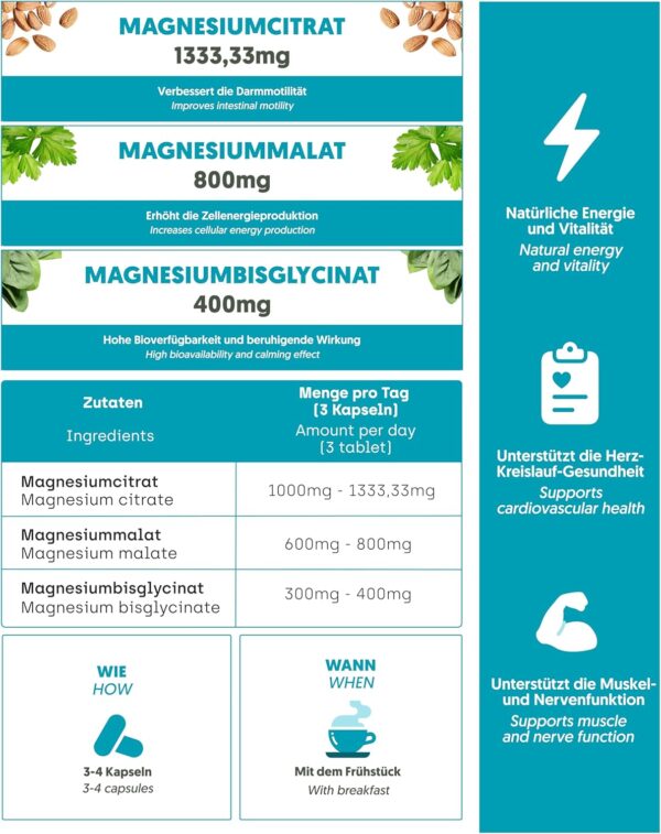 Magnesium 3X Premium: Malat, Bisglycinat und Citrat | Tagesenergie, Schlaf und Umfassende Muskelregeneration | Hochabsorbierende Formel | Verdauungs- und Knochengesundheit | 190 Kapseln – Bild 6