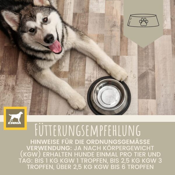 Multi Vitamin B Komplex Hund I Vitamine für Hunde 100ml I Vitamin B hochdosiert für Hunde mit B Vitamine Vitamin A B12 C E I Vitalität für Senioren Welpen Vitamin-Booster Immunsystem stärken Hund – Bild 6