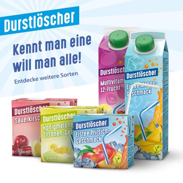 Durstlöscher Multivitamin: Erfrischungsgetränk mit Fruchtsaft aus 12 Früchten, Pfandfreies Trinkpäckchen, Vegan, Fruchtsaftgetränk ohne Kohlensäure, Ideal Für Unterwegs & Zuhause, 12 x 500 ml – Bild 6