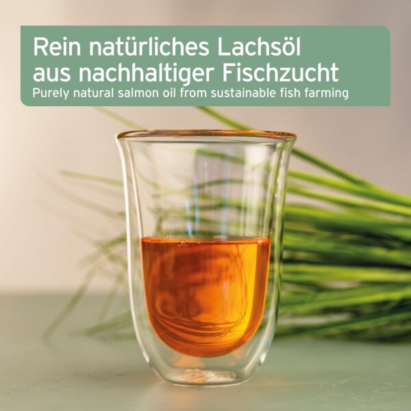 VERGLEICHSSIEGER SEHR GUT 2023 AniForte Lachsöl Hunde 1 Liter – Reich an Omega 3 & 6, Fischöl Hund hochdosiert, echte Lebensmittelqualität ohne Zusätze, frisch abgefüllt in Deutschland – Bild 2