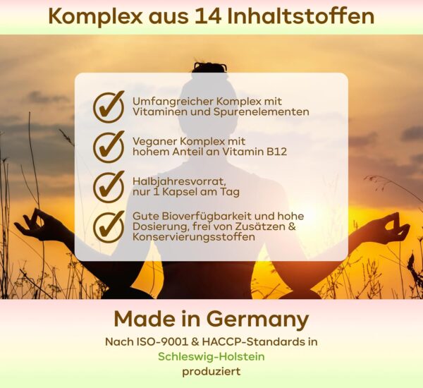 HALBJAHRESVORRAT: Vegan All In One - Vitamine A-Z hochdosiert - Mikronährstoffe & Multi-Vitamin Komplex mit B-Vitaminen D3 K2 Calcium Zink & Eisen - Vegan Complex – Bild 2