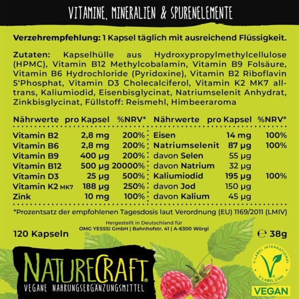 Vegan All-in-One - Vitamin B12+D3+K2+B2+B6+B9 Folsäure + Zink + Eisen + Selen + Natrium + Kalium + Jod - Komplex mit 120 Kapseln (4 Monats-Vorrat) – Bild 3