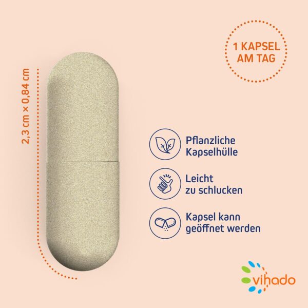 Vihado Multivitamin – Vitamine A-Z und Multimineral-Komplex – 26 Vitamine und Mineralstoffe hochdosiert – Nahrungsergänzungsmittel mit Q10, Zink und Tagetes Erecta – 1 Kapsel/Tag, 60 Kapseln – Bild 4