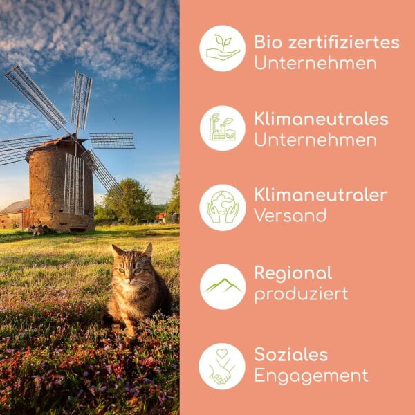 Lachsöl für Katzen mit Omega 3 & 6 I 100ml norwegisches, natürliches Lachs-Öl aus Atlantik-Meer-Lachs I Hochdosiertes Ergänzungsmittel für Katzen – Bild 8