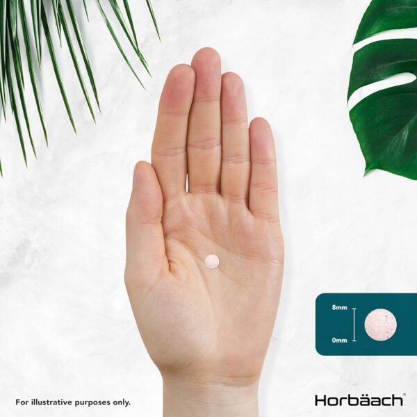 Vitamin B12 Tabletten 1000µg | 1+ Jahr Vorrat - 450 Vegane Stück | Hochdosiert Reines Supplement mit Folsäure | von Horbaach – Bild 8